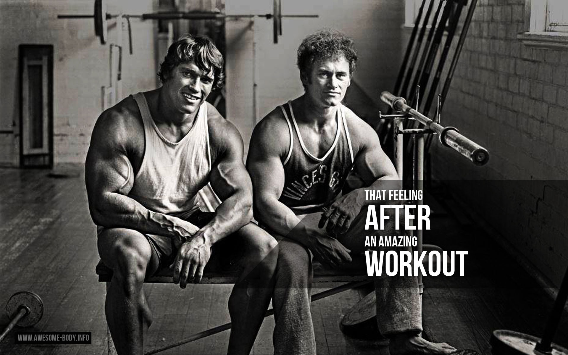 "Motivational image titled "That feeling after an amazing workout"